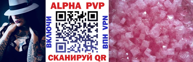 A PVP СК  Волгореченск 