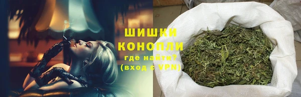молекула духа Белоозёрский