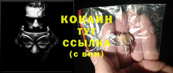 ПСИЛОЦИБИНОВЫЕ ГРИБЫ Белокуриха