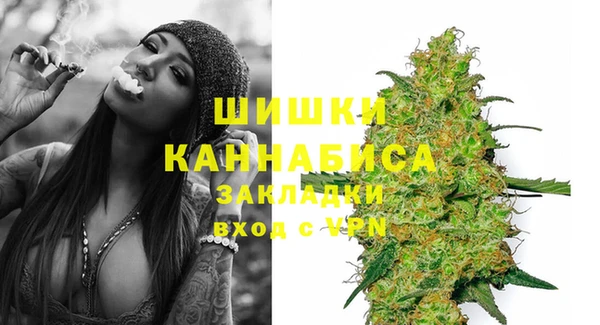 молекула духа Белоозёрский