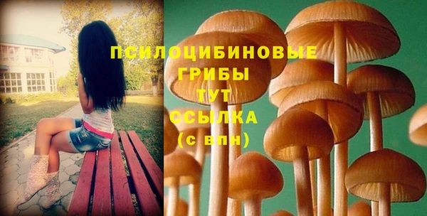 ПСИЛОЦИБИНОВЫЕ ГРИБЫ Белокуриха