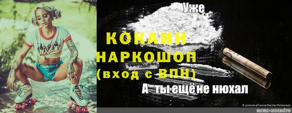 молекула духа Белоозёрский
