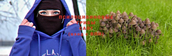 молекула духа Белоозёрский