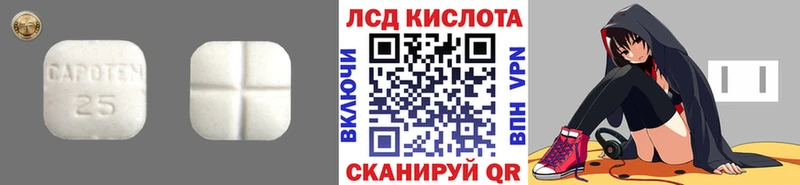 MEGA ссылки  Волгореченск  LSD-25 экстази ecstasy 