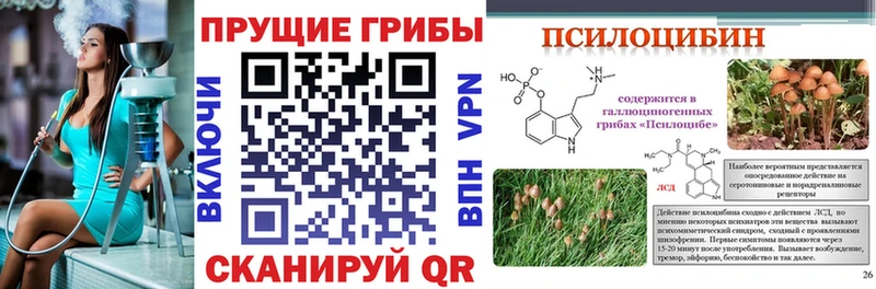 MEGA как войти  Волгореченск  Псилоцибиновые грибы GOLDEN TEACHER  наркотики 